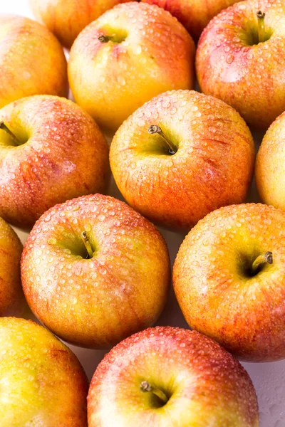 Manzanas de gala orgánicas — Foto de Stock