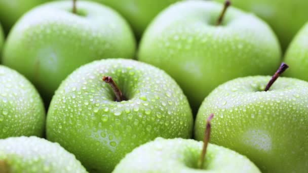 Ekologiska gröna äpplen — Stockvideo