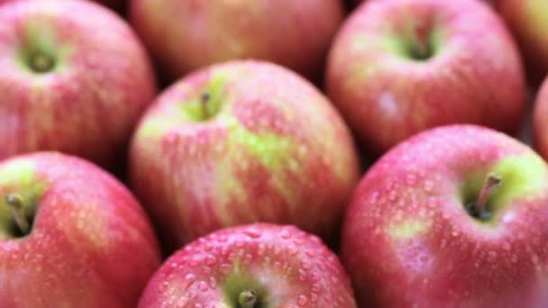 Органічні Fuji яблука — стокове відео