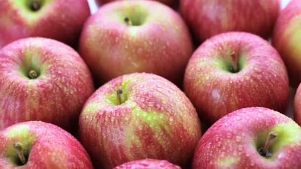 Organic Gala apples — Stock Video