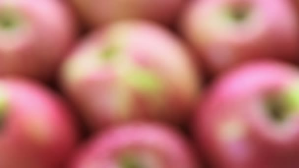 Manzanas de gala orgánicas — Vídeo de stock