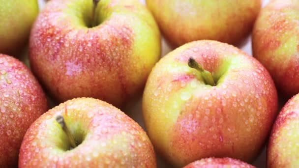 Organic Gala apples — Stock Video