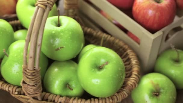 Manzanas orgánicas recién recogidas — Vídeo de stock