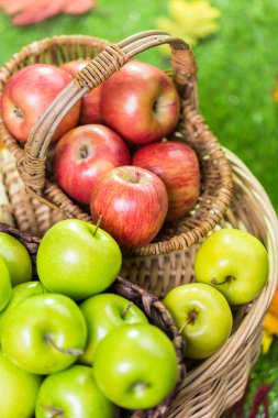 Taze organik elma aldı