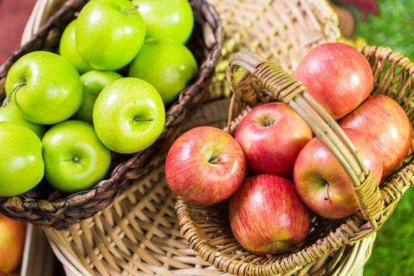 Свіжовибрані органічні яблука — стокове фото