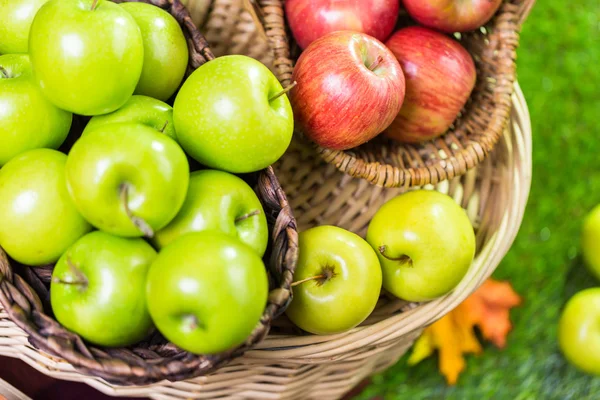 Свежесобранные органические яблоки — стоковое фото