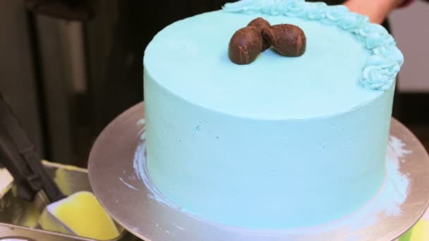 Easter Robins egg cake with chocolate — Stock Video