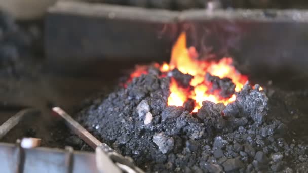 Forge de travail du forgeron dans un ancien atelier . — Video