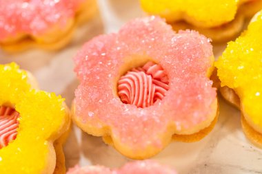 Ahududu kremalı Paskalya Kurabiyesi Sandviçi. Çiçek şeklinde bir şekerli kurabiye pembe ahududu kreması ve köpüklü şekerle kaplıdır. Tam oldu.