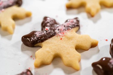 Parşömen kağıdında ezilmiş nane şekeriyle kaplı çikolata soslu kar tanesi şekerli kurabiyenin yakın çekimi..