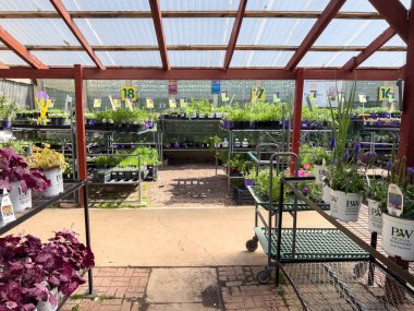 Parker, Colorado, ABD-13 Mayıs 2025 - Parker, Colorado 'da kapalı bir açık hava bitkileri fidanlığı içinde numaralandırılmış bir koridor görüntüsü, kategoriye göre sıralanmış saksı bitkileri. Metal gölgelik ve tuğla kaldırımlar görünür.