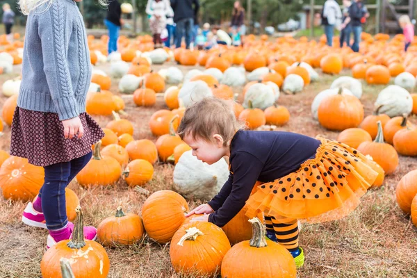 Ragazza al cerotto di zucca — Foto Stock