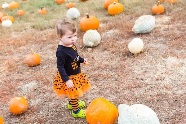 Flicka på Pumpkin patch — Stockfoto