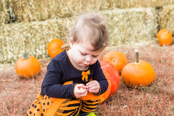 Flicka på Pumpkin patch — Stockfoto