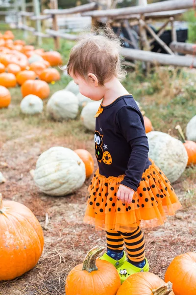 Flicka på Pumpkin patch — Stockfoto