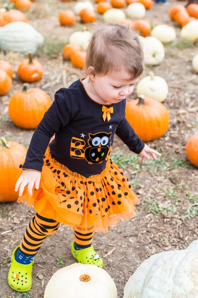 Girl at Pumpkin patch — Stock Photo, Image