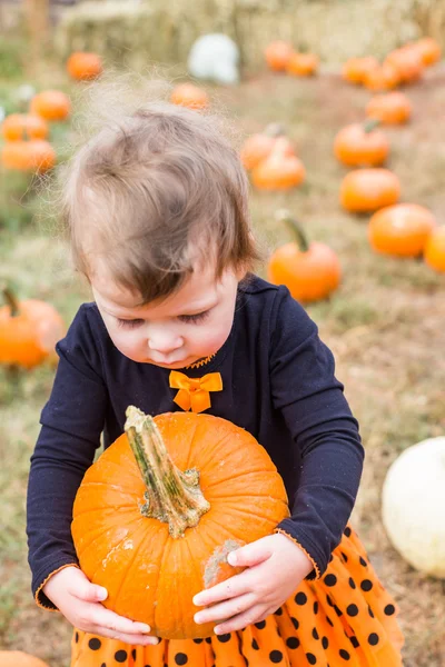 Meisje op pompoen patch — Stockfoto