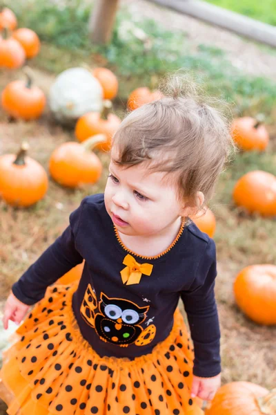 Flicka på Pumpkin patch — Stockfoto