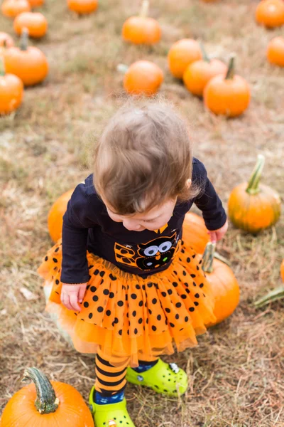 Flicka på Pumpkin patch — Stockfoto