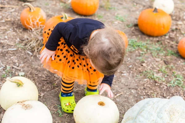 Flicka på Pumpkin patch — Stockfoto