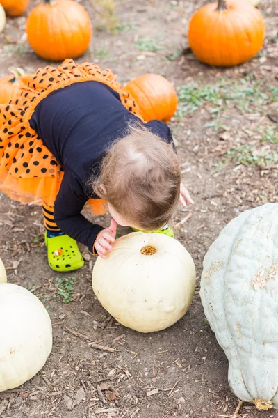 Meisje op pompoen patch — Stockfoto