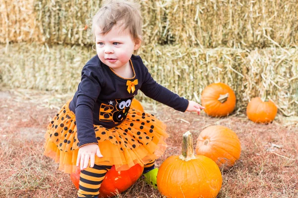 Flicka på Pumpkin patch — Stockfoto