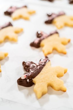 Parşömen kağıdında ezilmiş nane şekeriyle kaplı çikolata soslu kar tanesi şekerli kurabiyenin yakın çekimi..