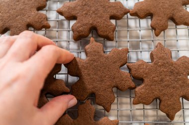 Yakın plan çekimde çikolatalı zencefilli, kar tanesi şeklindeki kurabiyeyi dikkatlice tutarken, kurabiyelerin kenarları çıtır çıtır ve zengin dokuları vurgulanıyor..