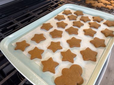 Parşömen kağıdıyla kaplanmış fırın tepsisinde taze zencefilli kurabiye ve zencefilli kurabiye bulunur. Tepsi bir sobanın üzerinde duruyor. Sıcak mutfak ışıkları altınlarını gösteriyor.