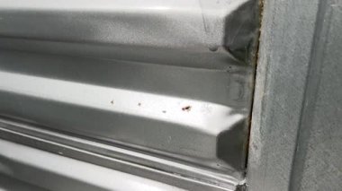 Metal bir pencerenin yüzeyi küçük pas lekelerini gösteriyor. Yaşlanma ve bakım konularını göstermek için birebir..