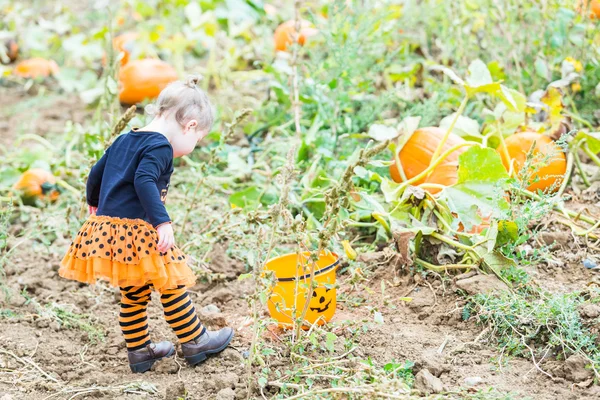 Meisje op pompoen patch — Stockfoto