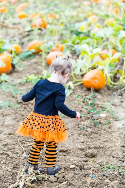 Meisje op pompoen patch — Stockfoto