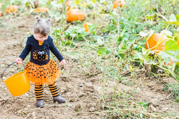 Meisje op pompoen patch — Stockfoto