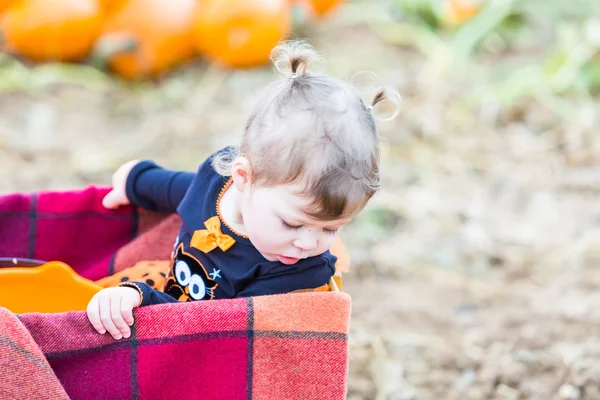Dziewczynka na Pumpkin patch — Zdjęcie stockowe