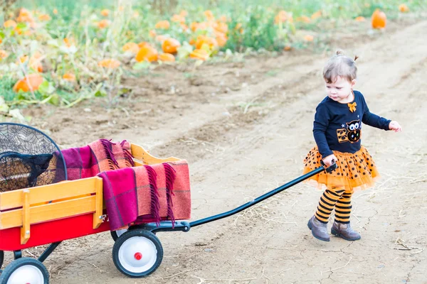 Little girl at Pumpkin patch — Stock Photo, Image
