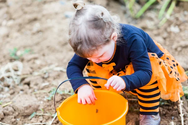 Meisje op pompoen patch — Stockfoto