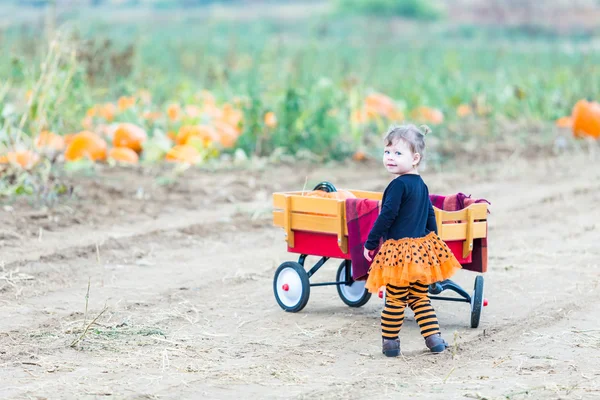 Meisje op pompoen patch — Stockfoto