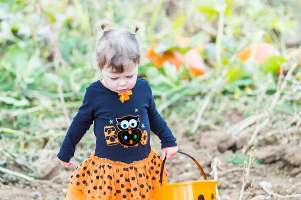 Meisje op pompoen patch — Stockfoto