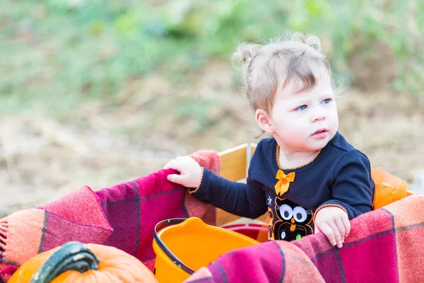 Liten flicka på Pumpkin patch — Stockfoto