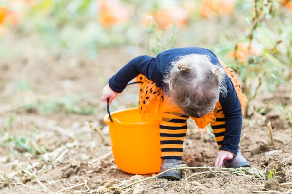 Dziewczynka na Pumpkin patch — Zdjęcie stockowe