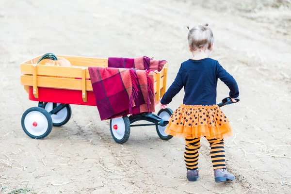 Petite fille au patch de citrouille — Photo