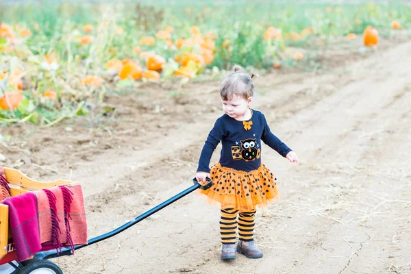 Liten flicka på Pumpkin patch — Stockfoto