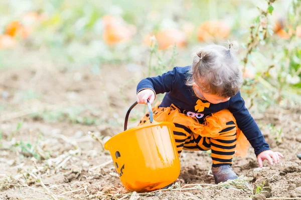 Little girl at Pumpkin patch — Stock Photo, Image