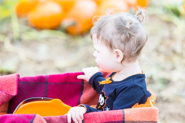 Meisje op pompoen patch — Stockfoto