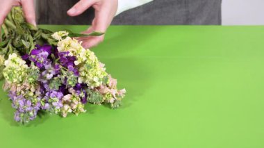 Bir buket stok çiçeği sapta tutulurken yana doğru eğilir. Çiçekler parlak yeşil bir arka planda masaya doğru çağlarlar..