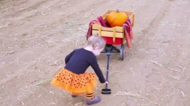 Küçük kıza kabak yama