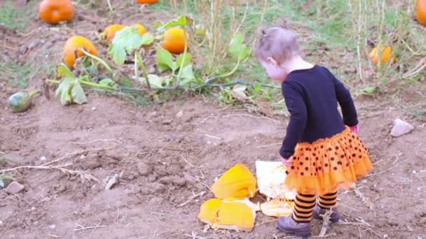 Menina em Pumpkin patch — Vídeo de Stock