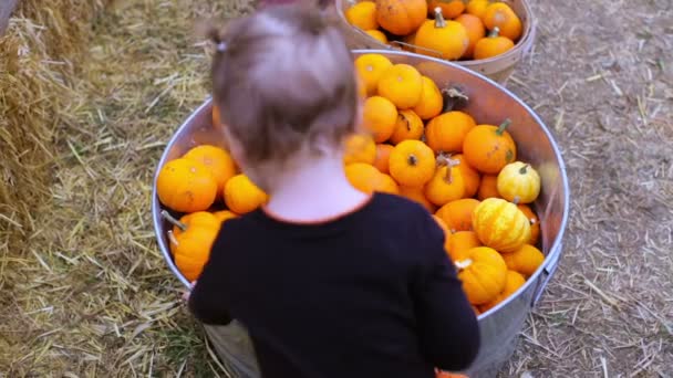 Маленька дівчинка на гарбузовій плямі — стокове відео