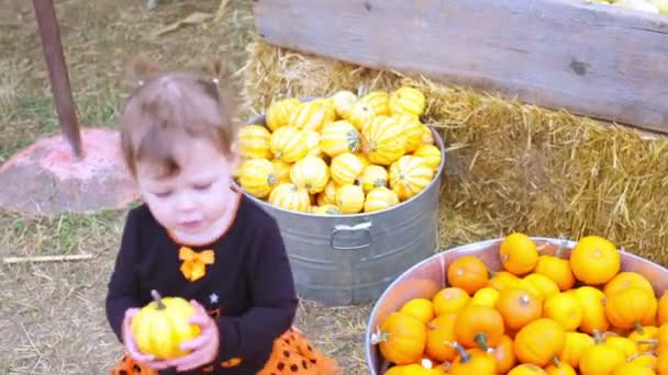 Menina em Pumpkin patch — Vídeo de Stock