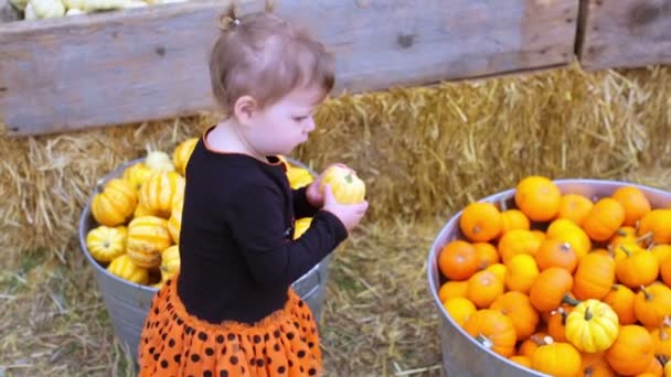 Liten flicka på Pumpkin patch — Stockvideo